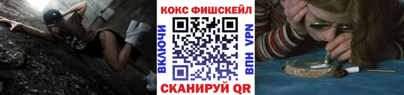 Купить закладки  Сухиничи  Кокаин Fish Scale 