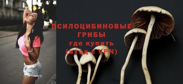 2c-b Балахна